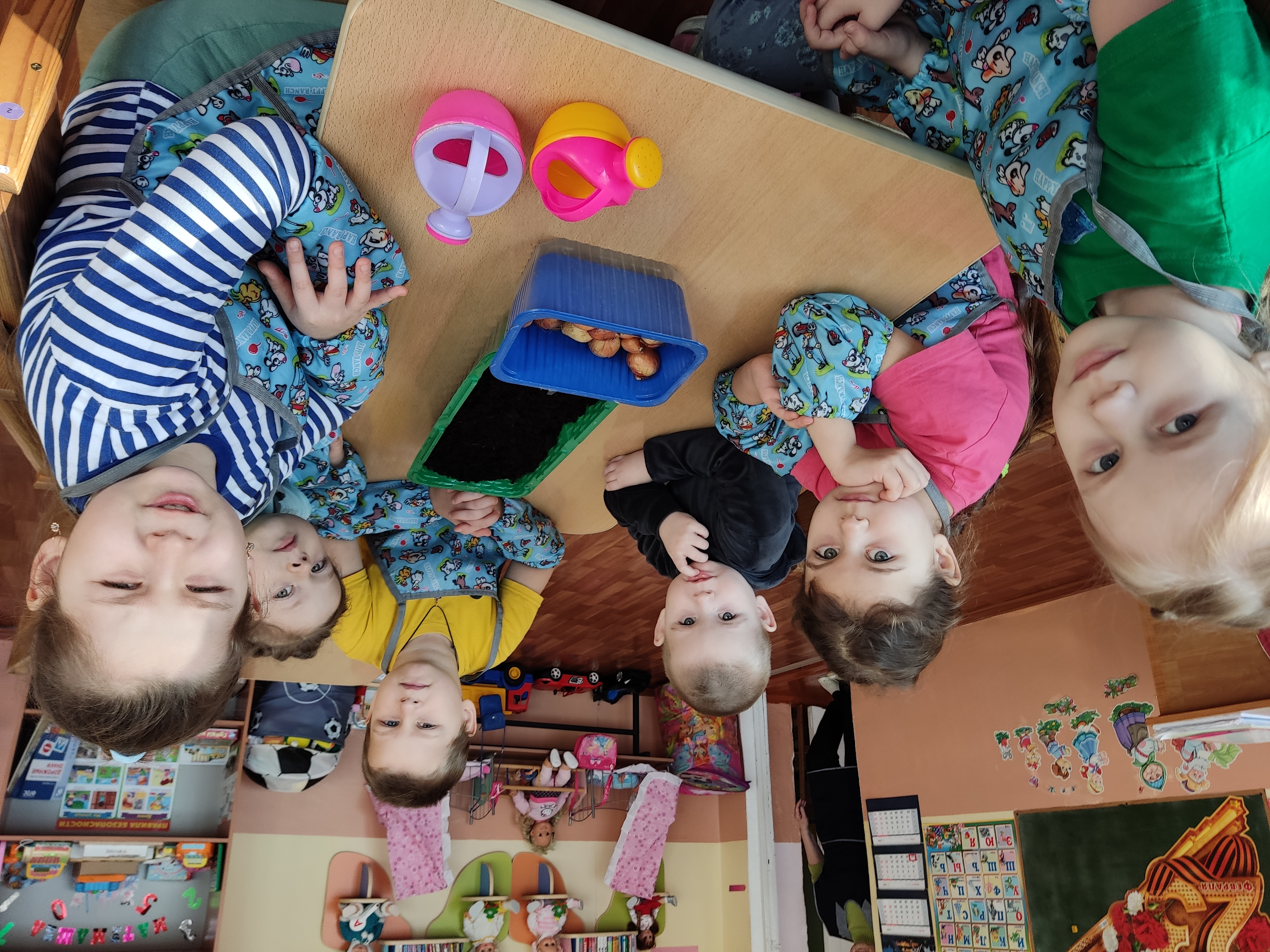 Огород на окошке.