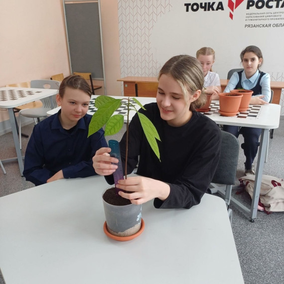 Внеурочная деятельность.